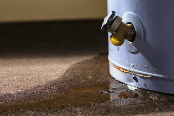 Best Local water damage restoration  in Boston Heights, OH