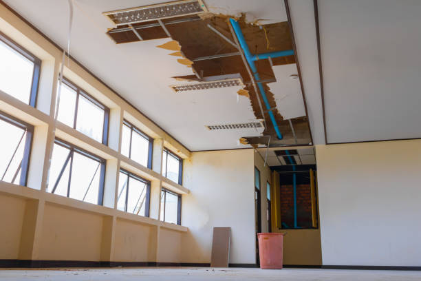 Best Local water damage restoration  in Boston Heights, OH