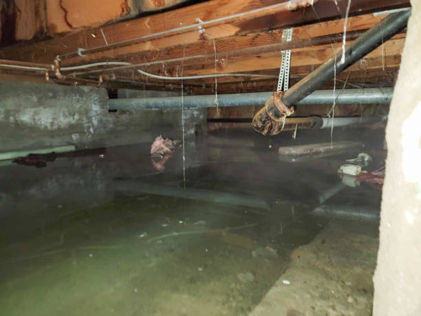 Professional Water damage restoration in Boston Heights, OH