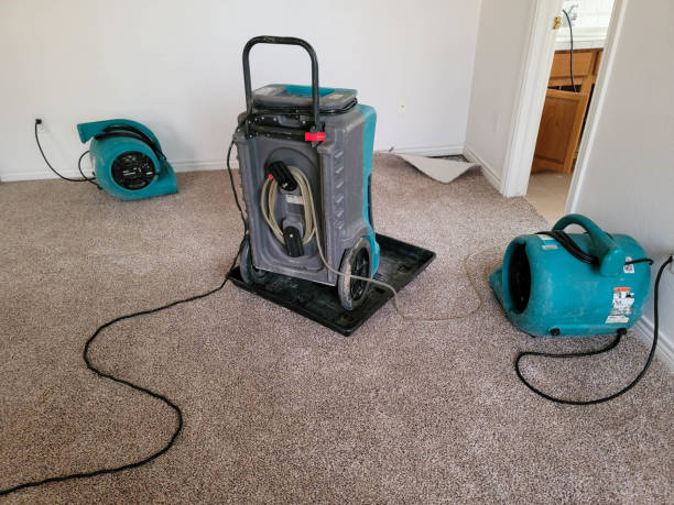 Best Water damage cleanup near me  in Boston Heights, OH