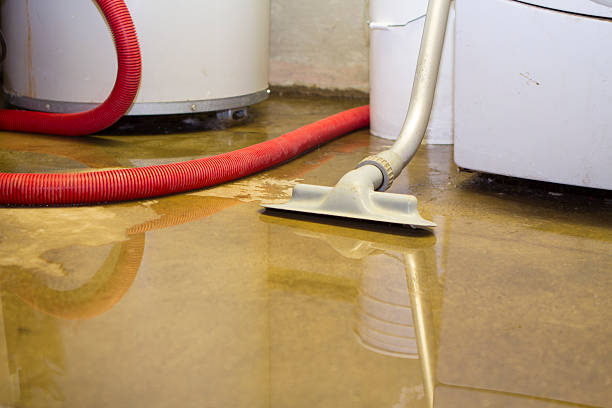 Best Water damage restoration experts  in Boston Heights, OH