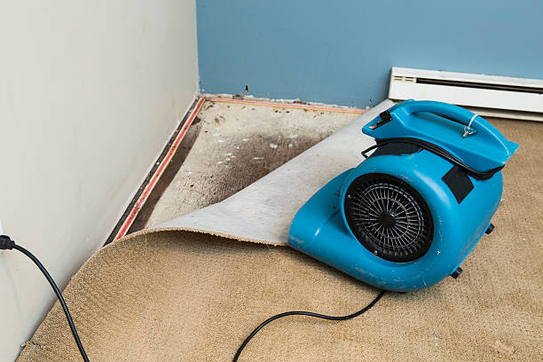 Best Mold removal after water damage  in Boston Heights, OH